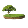 Land & Plots For Sale